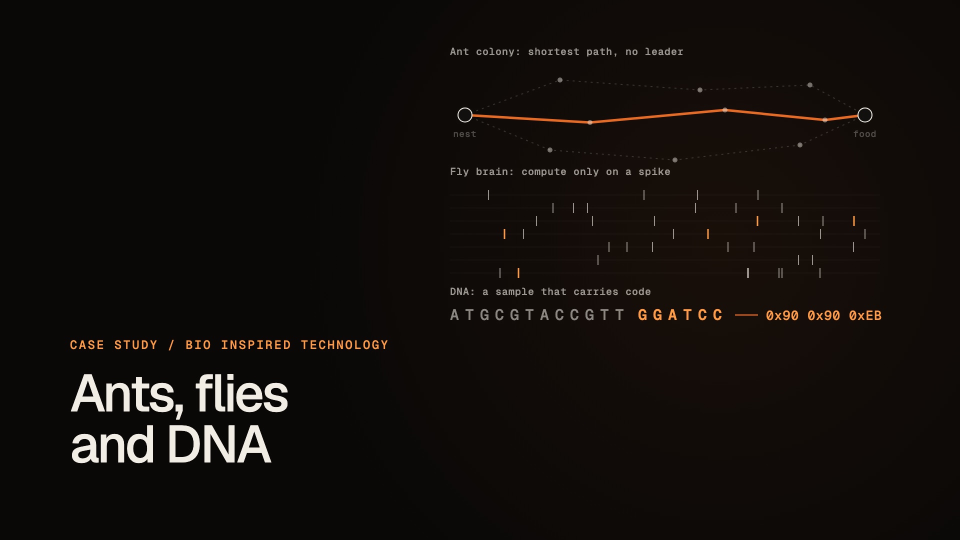 Bio inspired tech: three systems, three lessons project cover